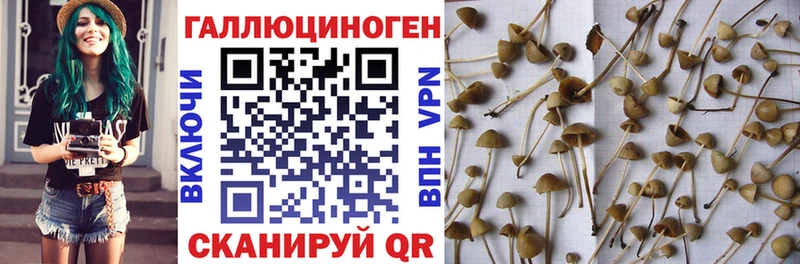 Галлюциногенные грибы прущие грибы  Михайловск 