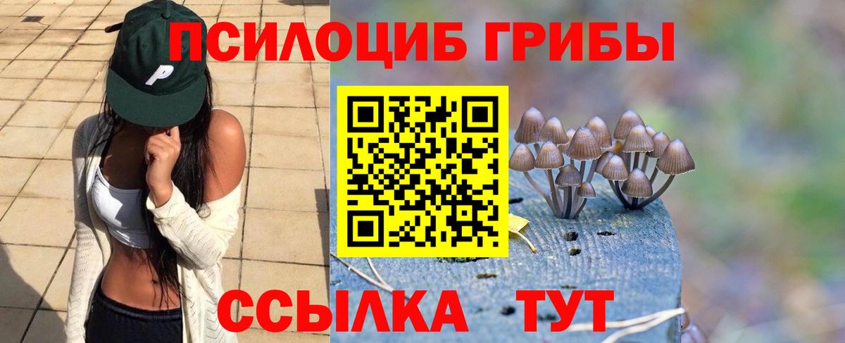 Псилоцибиновые грибы Psilocybine cubensis Михайловск